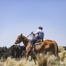 Estancia ride in Sierras Chicas, Argentina - Globetrotting horse riding holidays