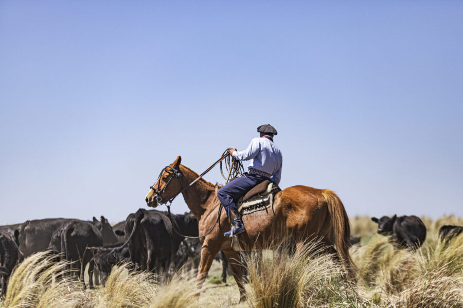 Estancia ride in Sierras Chicas, Argentina - Globetrotting horse riding holidays