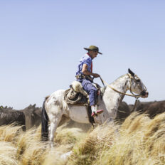 Estancia ride in Sierras Chicas, Argentina - Globetrotting horse riding holidays