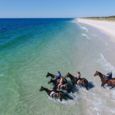 horses and riders swimming in sea horse riding holiday margaret river globetrotting