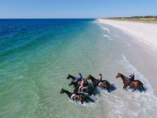 horses and riders swimming in sea horse riding holiday margaret river globetrotting