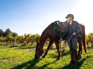 horse and rider resting in vineyard bordeaux horse riding holiday by globetrotting
