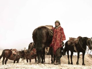 horse riding holiday patagonia