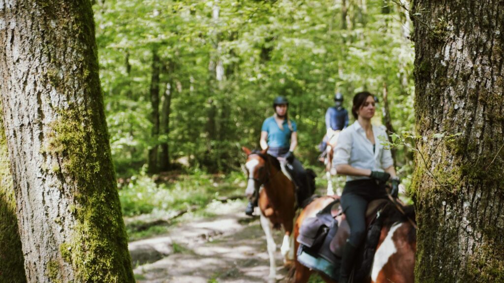 THE CHAMPAGNE RIDE, FRANCE, GLOBETROTTING HORSE RIDING HOLIDAYS