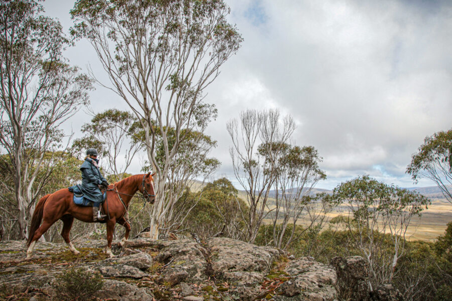 The Kosciuszko Ride, New South Wales, Australia - Globetrotting horse riding holidays