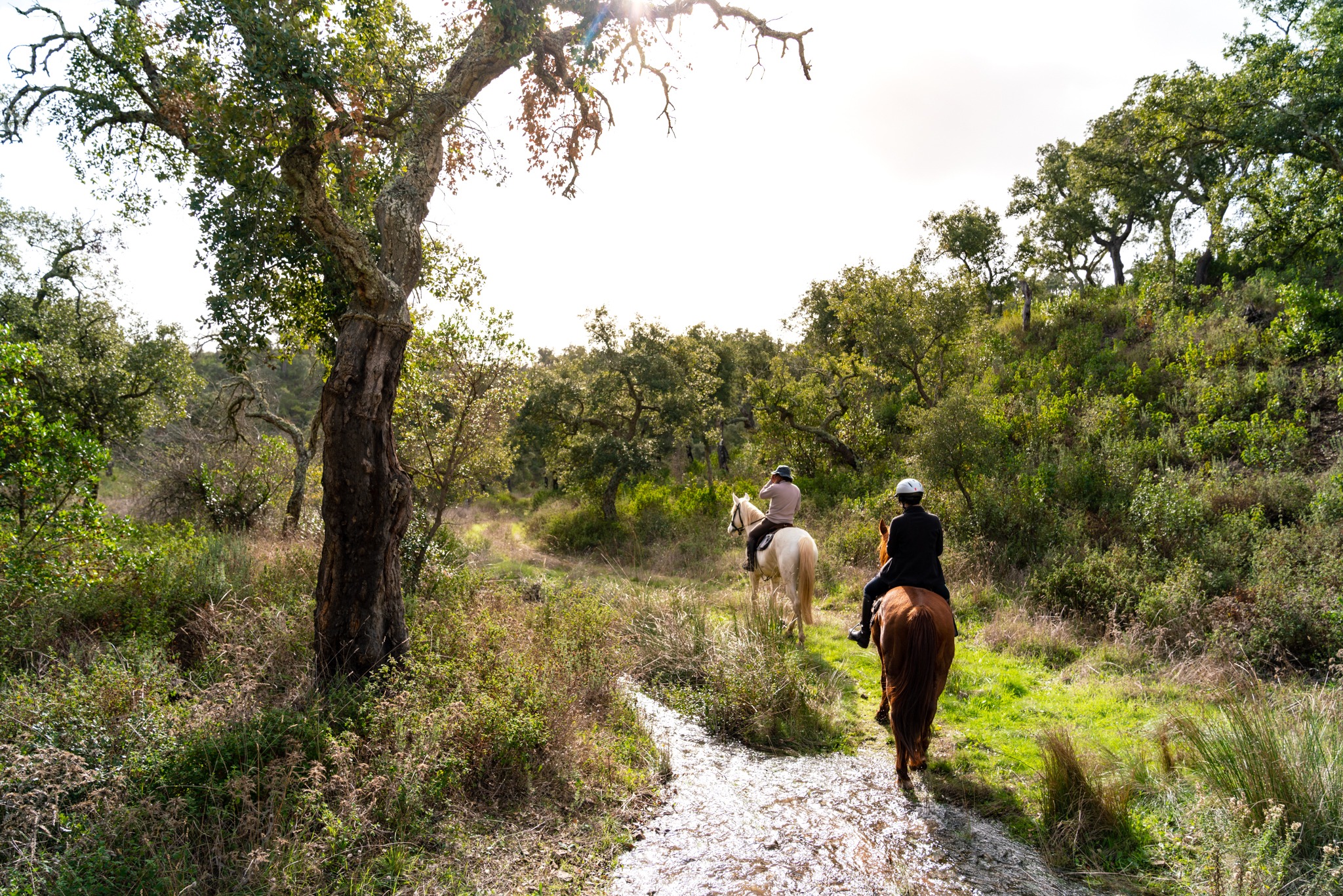 horse riding holiday in Costa Azul, Portugal