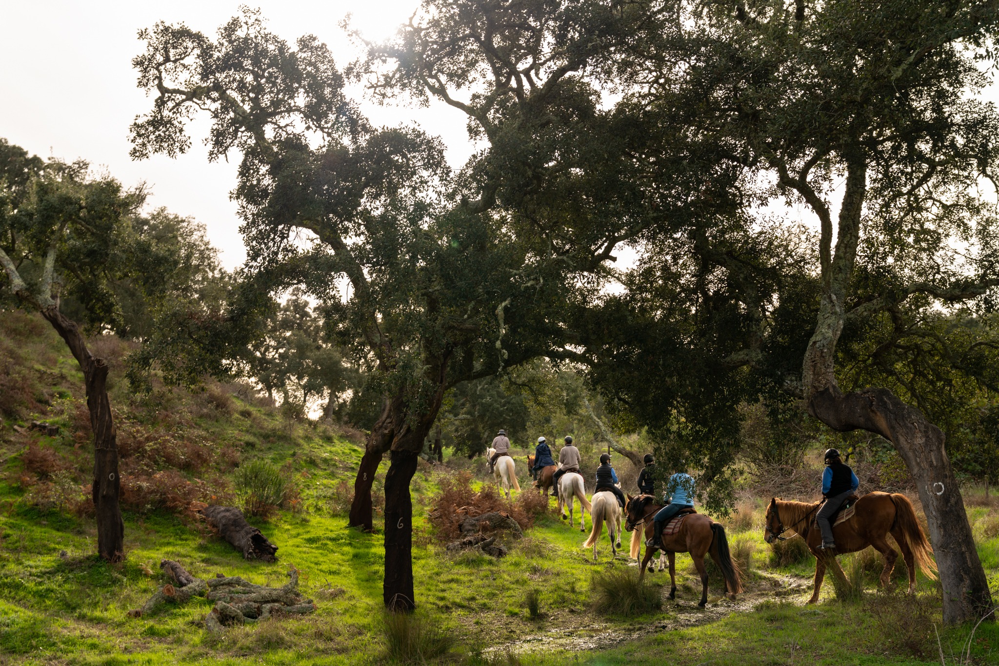 horse riding holiday in Costa Azul, Portugal