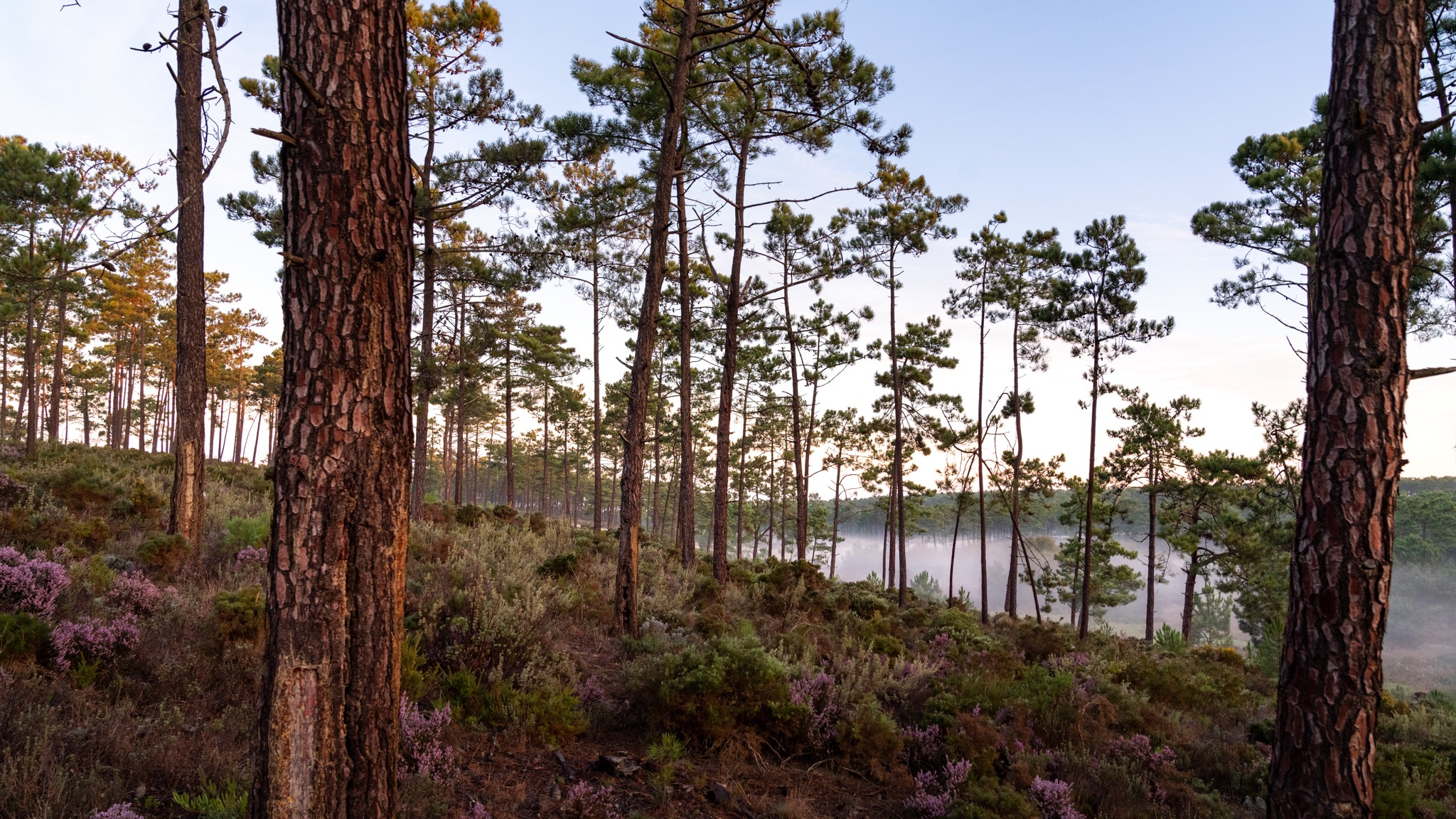 horse riding holiday in Costa Azul, Portugal