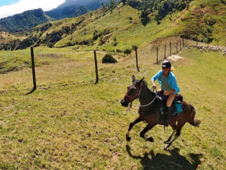 The River Valley Ride, North Island, New Zealand - Globetrotting horse riding holidays