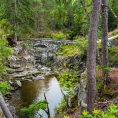 The Scottish Highlands Ride, Scotland - Globetrotting horse riding holidays