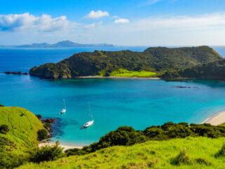 A Day Spent in Paihia, New Zealand - Globetrotting horse riding holidays - image via Shutterstock / Christina Fink