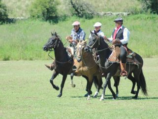 gauchos playing polo on estancia ride horse riding holiday in Sierra Chicas, Argentina by Globetrotting