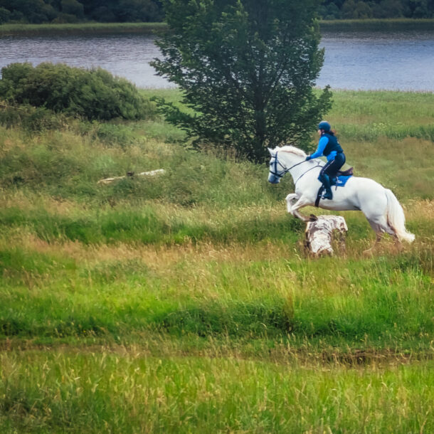Castle & Estate Ride, Ireland, Globetrotting Horse Riding Holidays