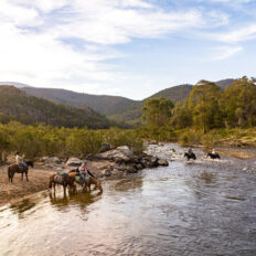 The Snowy River Ride, Victoria, Australia - Globetrotting horse riding holidays