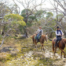 The Snowy River Ride, Victoria, Australia - Globetrotting horse riding holidays