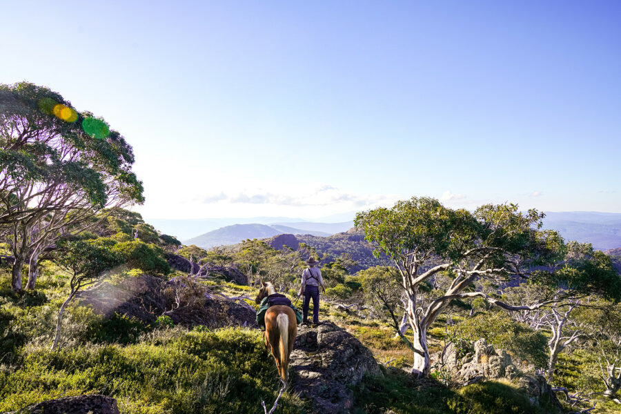 The Snowy River Ride, Victoria, Australia - Globetrotting horse riding holidays