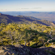 The Snowy River Ride, Victoria, Australia - Globetrotting horse riding holidays