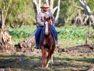 The Top End Ride - horse riding holiday Northern Territory - Globetrotting