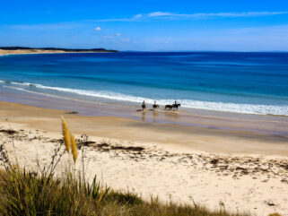 Twin Coast Adventure, North Island, New Zealand - Globetrotting horse riding holidays