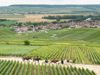 The Champagne Ride, France - Globetrotting horse riding holidays