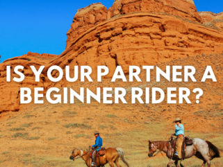 Is your partner a beginner rider? - Globetrotting horse riding holidays